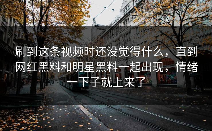 刷到这条视频时还没觉得什么，直到网红黑料和明星黑料一起出现，情绪一下子就上来了