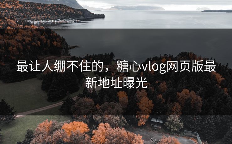 最让人绷不住的，糖心vlog网页版最新地址曝光