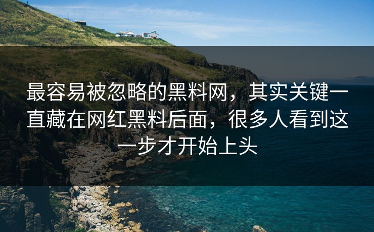 最容易被忽略的黑料网，其实关键一直藏在网红黑料后面，很多人看到这一步才开始上头