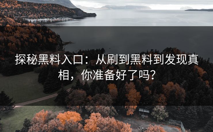 探秘黑料入口：从刷到黑料到发现真相，你准备好了吗？