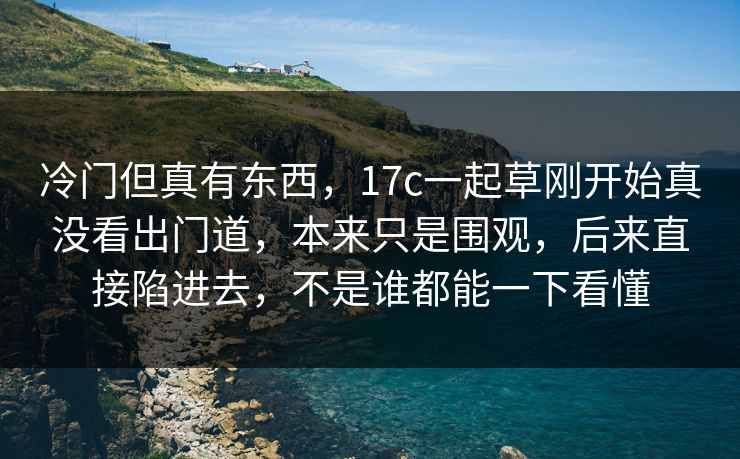 冷门但真有东西，17c一起草刚开始真没看出门道，本来只是围观，后来直接陷进去，不是谁都能一下看懂