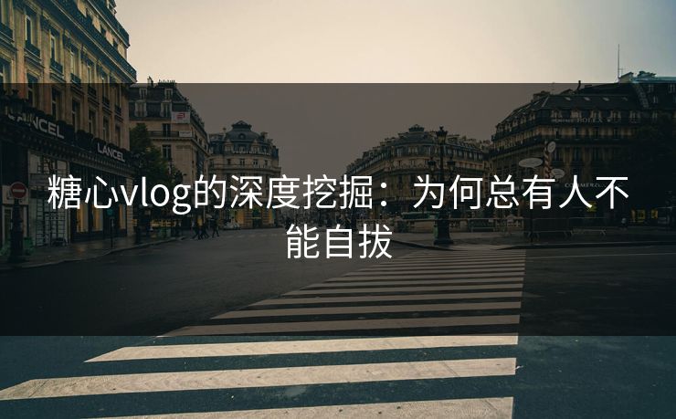 糖心vlog的深度挖掘：为何总有人不能自拔