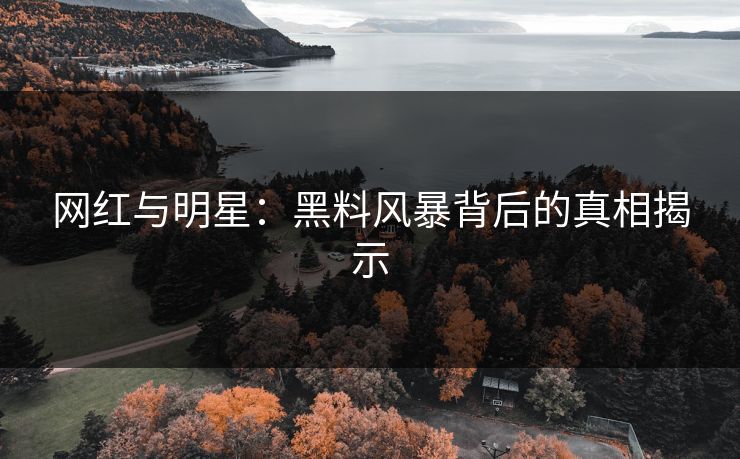 网红与明星：黑料风暴背后的真相揭示