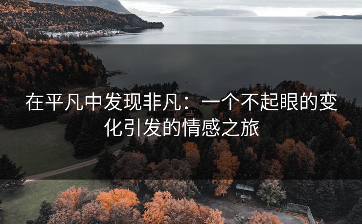 在平凡中发现非凡：一个不起眼的变化引发的情感之旅