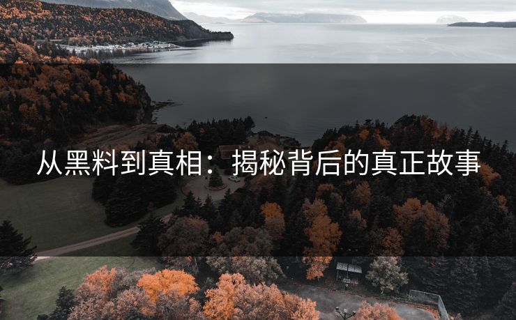 从黑料到真相：揭秘背后的真正故事