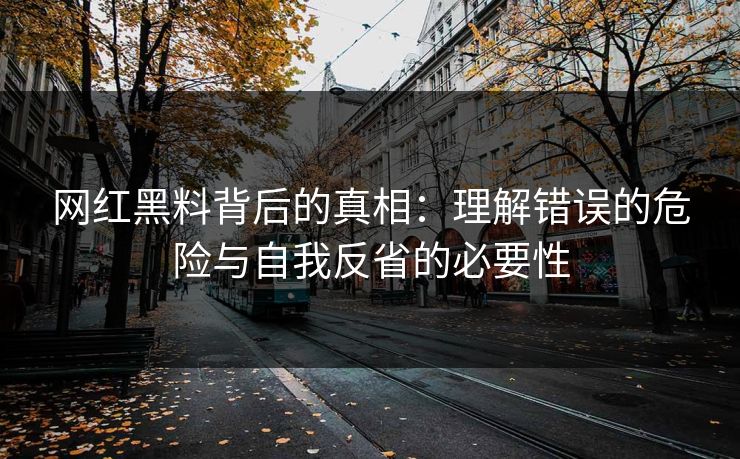 网红黑料背后的真相：理解错误的危险与自我反省的必要性