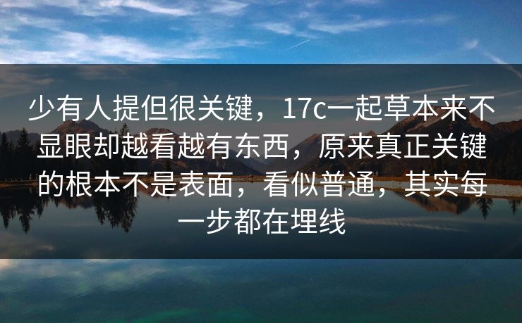 少有人提但很关键，17c一起草本来不显眼却越看越有东西，原来真正关键的根本不是表面，看似普通，其实每一步都在埋线
