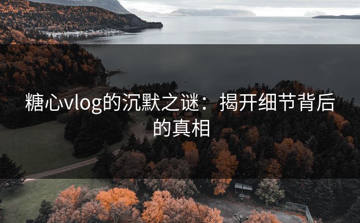 糖心vlog的沉默之谜：揭开细节背后的真相